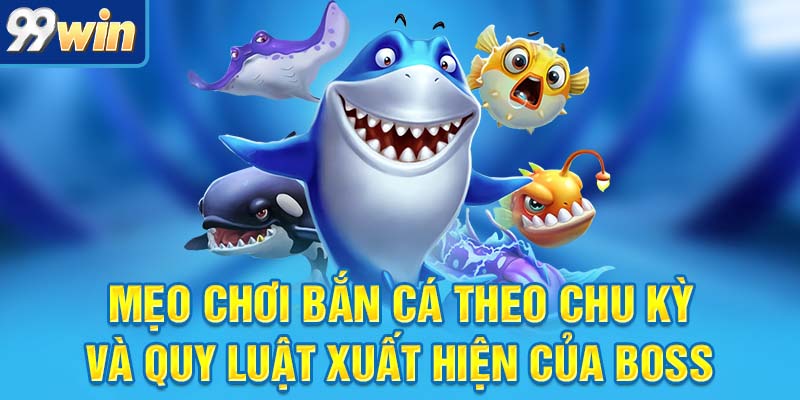 Mẹo Chơi Bắn Cá Chuẩn Từng Viên Đạn, Ăn Tiền Cực Đã 6 Mẹo chơi bắn cá theo chu kỳ và quy luật xuất hiện của boss